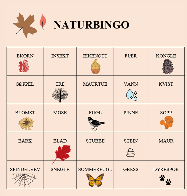 Naturbingo